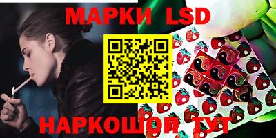 индика Моздок