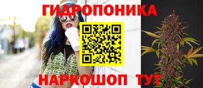 бошки Можга