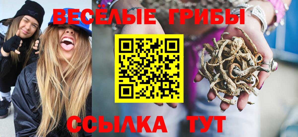 Галлюциногенные грибы Magic Shrooms  Псилоцибиновые грибы Psilocybe  Вход с VPN  Амурск 
